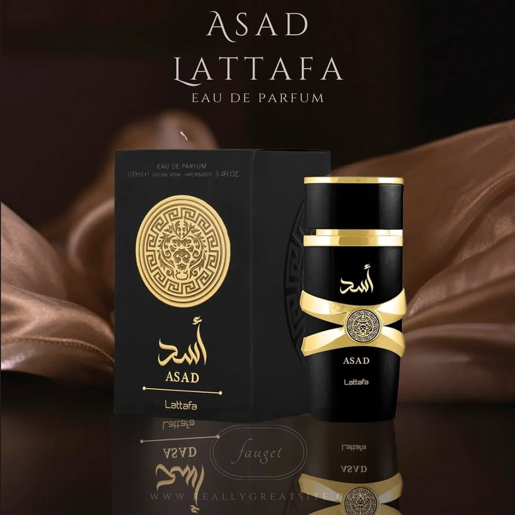 Asad Lattafa EDU